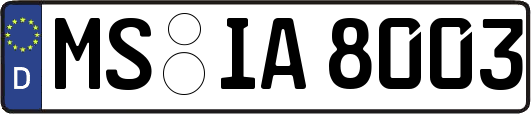 MS-IA8003