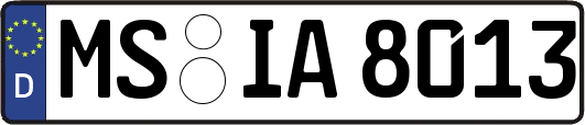 MS-IA8013