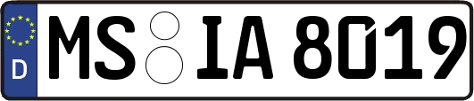 MS-IA8019