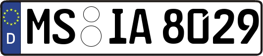 MS-IA8029