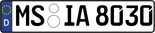 MS-IA8030