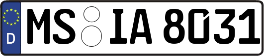 MS-IA8031