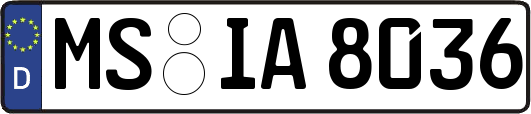 MS-IA8036