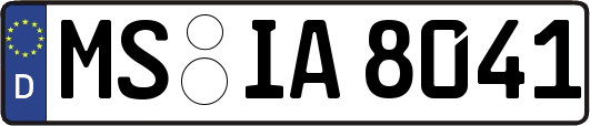 MS-IA8041