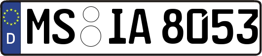 MS-IA8053