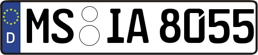 MS-IA8055