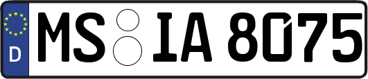 MS-IA8075