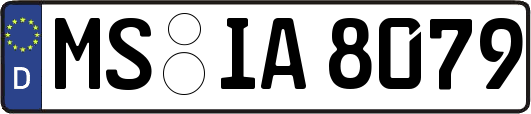 MS-IA8079