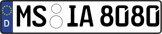 MS-IA8080