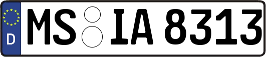 MS-IA8313