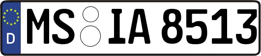 MS-IA8513