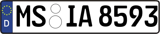 MS-IA8593