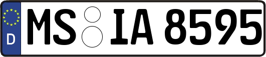 MS-IA8595