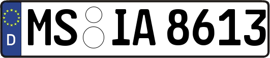 MS-IA8613