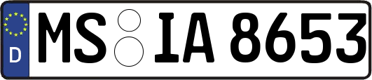 MS-IA8653