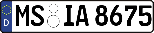 MS-IA8675