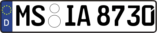 MS-IA8730