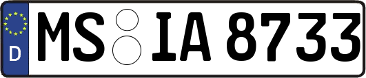 MS-IA8733