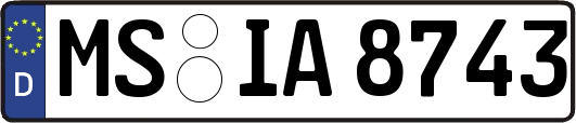 MS-IA8743