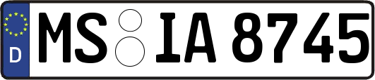MS-IA8745