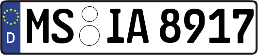 MS-IA8917