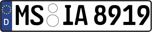 MS-IA8919