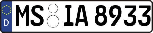 MS-IA8933