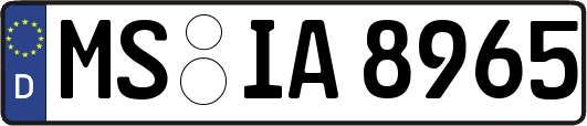 MS-IA8965