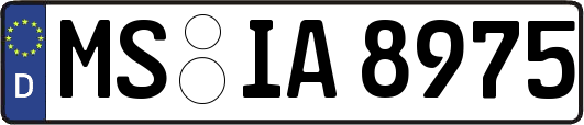 MS-IA8975