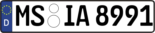 MS-IA8991