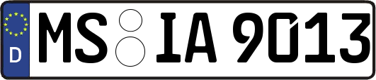 MS-IA9013