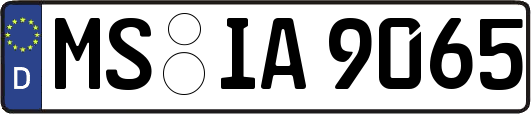 MS-IA9065