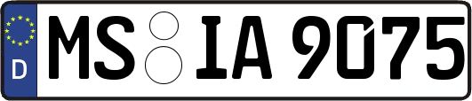 MS-IA9075