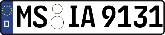 MS-IA9131