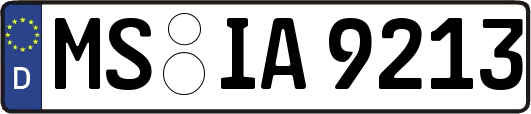 MS-IA9213
