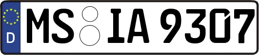 MS-IA9307