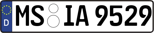 MS-IA9529