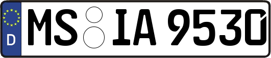 MS-IA9530