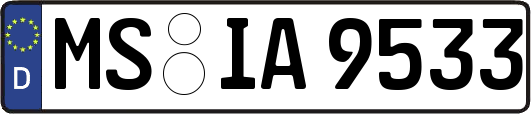 MS-IA9533