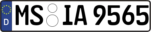 MS-IA9565