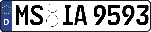 MS-IA9593