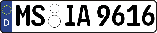 MS-IA9616