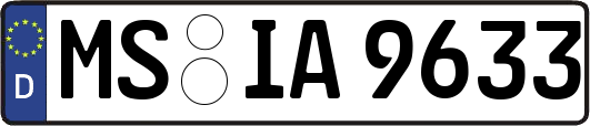 MS-IA9633