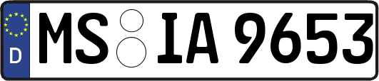 MS-IA9653