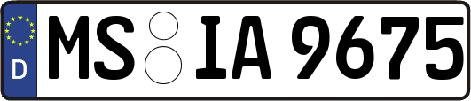 MS-IA9675