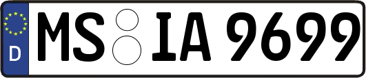 MS-IA9699