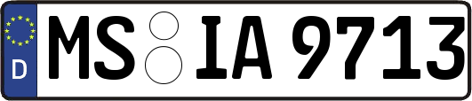 MS-IA9713