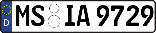 MS-IA9729