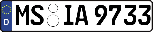 MS-IA9733