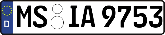 MS-IA9753